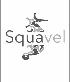 SQUAVEL