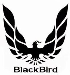 BLACKBIRD