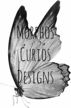 MORPHOS CURIOS DESIGNS