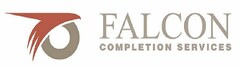 FALCON COMPLETION SERVICES