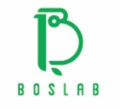 B BOS LAB