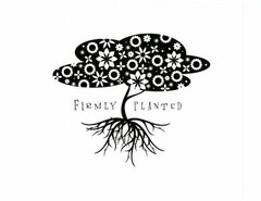 FIRMLY PLANTED