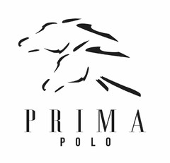 PRIMA POLO