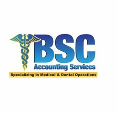 BSC ACCOUNTING SERVICES SPECIALIZING IN MEDICAL & DENTAL OPERATIONS