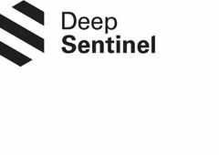 DEEP SENTINEL