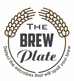 THE BREW PLATE DETECT THE MICROBES THATWILL SPOIL YOUR BREW