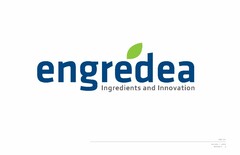 ENGREDEA INGREDIENTS AND INNOVATION