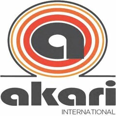 A AKARI INTERNATIONAL