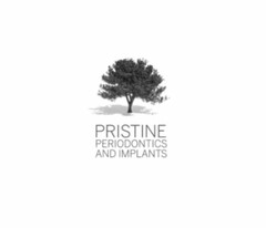 PRISTINE PERIODONTICS AND IMPLANTS