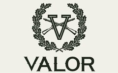 V VALOR