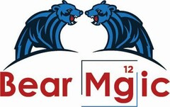 BEAR MGIC 12