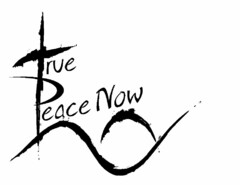 TRUE PEACE NOW