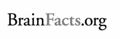 BRAINFACTS.ORG