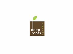 DEEP ROOTS ORGANIC