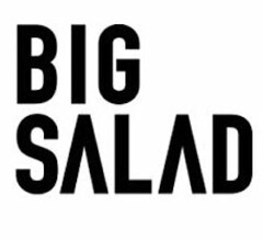 BIG SALAD