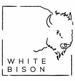 WHITE BISON