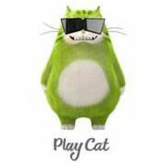 PLAY CAT