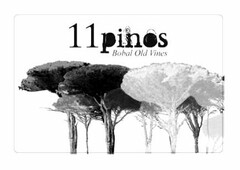 11 PINOS BOBAL OLD VINES