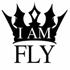 I AM FLY