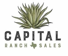 CAPITAL RANCH SALES