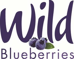 WILD BLUEBERRIES