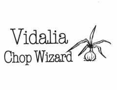 VIDALIA CHOP WIZARD