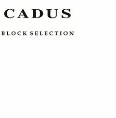 CADUS BLOCK SELECTION