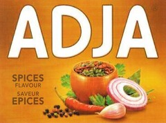 ADJA SPICES FLAVOUR SAVEUR EPICES