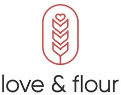 LOVE & FLOUR