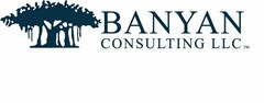 BANYAN CONSULTING LLC