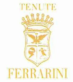 TENUTE FERRARINI