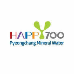 HAPPY 700 PYEONGCHANG MINERAL WATER