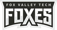 FOX VALLEY TECH FOXES