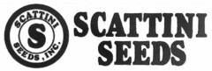 SCATTINI S SEEDS, INC. SCATTINI SEEDS