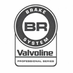 BR BRAKE SYSTEM VALVOLINE PROFESSIONAL SERIES