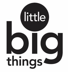 LITTLE BIG THINGS