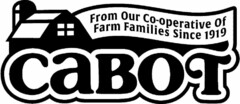 CABOT FROM OUR CO-OPERATIVE OF FARM FAMILIES SINCE 1919