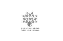 BURNING BUSH CHOOSE TO BE DIFFERENT