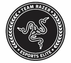 TEAM RAZER ESPORTS ELITE