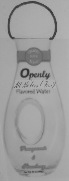 OPENLY ALL NATURAL FRUIT FLAVORED BOTTLED WATER