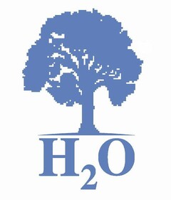 H2O