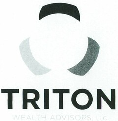 TRITON WEALTH ADVISORS, LLC