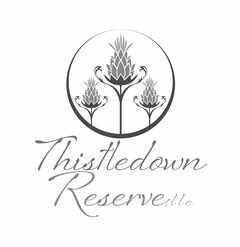 THISTLEDOWN RESERVE, LLC
