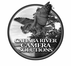 CAHABA RIVER CAMERA SOLUTIONS