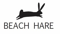 BEACH HARE