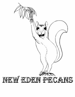 NEW EDEN PECANS