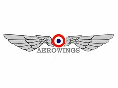 AEROWINGS