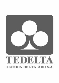 TEDELTA TECNICA DEL TAPADO S.A.