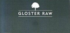 GLOSTER RAW