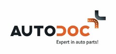 AUTODOC EXPERT IN AUTO PARTS!